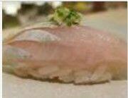 Hawaiian Yellowtail